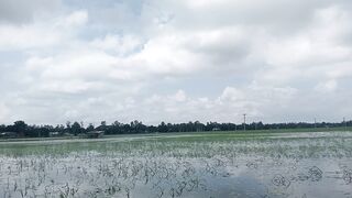 Rainy Water In The Village