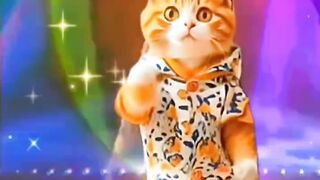 Cats Dance 2
