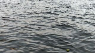 Feeling Nature with river