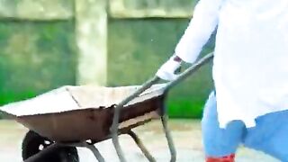 The best funny video ????