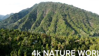Nature world 3