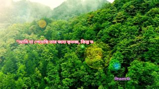 ইসলামিক বিষয়ে কিছু উক্তি বা বানী।