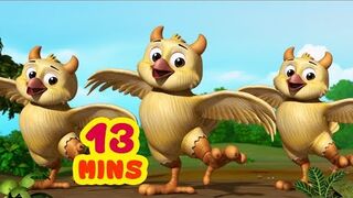Hattimatim Tim and more