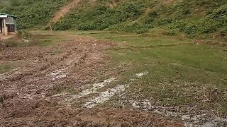 এই ভাবে বন অঞ্চল কাটা হচ্ছে।