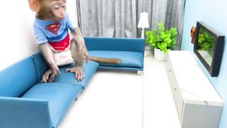 Mankey baby baby to the toilet funny video