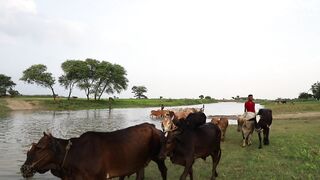Village culture 2