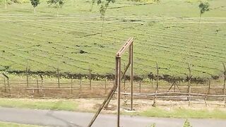 Bangladesh 8