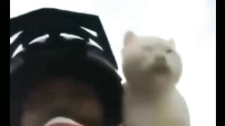 I Love This Cat..!