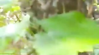 Grappy plants