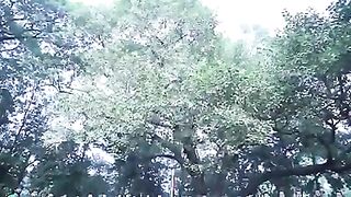 আমার সোনার বাংলা, আমি তোমায় ভালোবাসি।