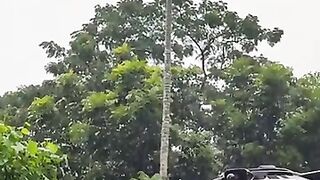 A beautiful weather 2