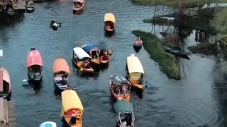 Kashmir dal lake