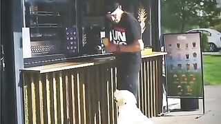 Emotional video Dog video Crying after watching the video of the dog ???? #
