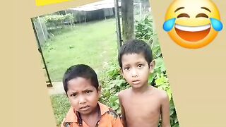 Amazing Funny video 2024 Best funny video 2024