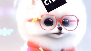 ???????? Nice Cat ????????