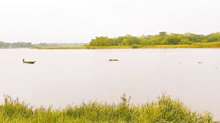 The boat is floating on Halda river in Bangladesh. #boat #halda #nature #weather