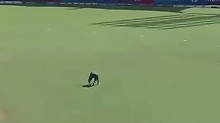 Babar azam batting 3