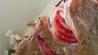 London’s Most Expensive Fish and Chips! WORLD RECORD!!