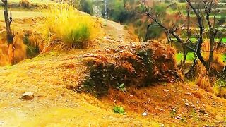 Beautiful view after rain | Beautiful atmosphere | Beautiful weather