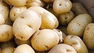 সত্যি করে বলো তো কি ভেবেছিলে তুমি???? ~ Potato Makes