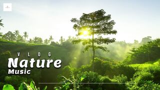 Nature Music Vlog 2