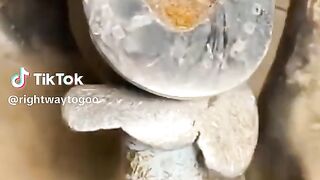 videos 172