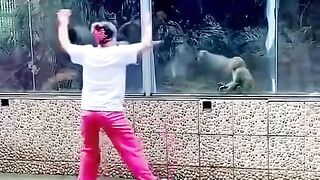বান্ধবী_যখন_প্রথম_বান্দর_দেখে_