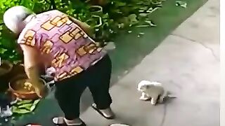True LOVE ❤️ #song #shorts #trending #viralvideo #love #doglover #dog #babapetsi.