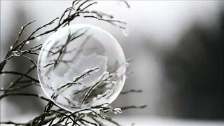 forest, sea, and nature video