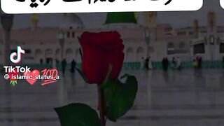 Hazrat Muhammad saw Ki hadees 16