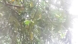 বৃষ্টি দিন ????