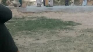 Cricket video | funny video |