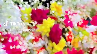 The beauty of nature is probably the spread of flowers????