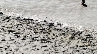 Fishing in the river 2