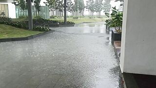 The best Malaysian Rainy day.
