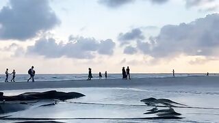 Kuakata Sea Beach কুয়াকাটা সমুদ্র সৈকত Barishal বরিশাল।