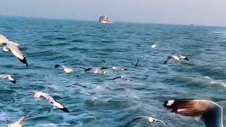 সেন্টমার্টিন যাওয়ার সময় এই ভিউ টা বেস্ট