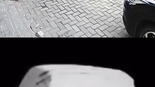 from gengster to hamster