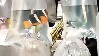 Nemo fish lover Plzzz subscribe????#youtubeshorts #ytshorts #aquarium #shorts.