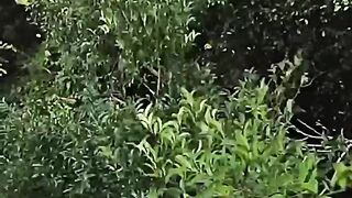 Falling from the tree, see what happens at the end