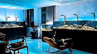 Aquarium life 6