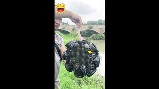 Best Fishing Gear of 2024 - Must-Have Items for Your Tackle Box#shorts #facts