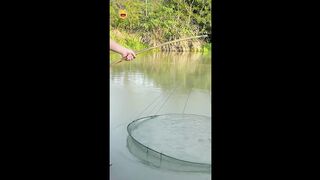 Best Fishing Gear of 2024 - Must-Have Items for Your Tackle Box#facts