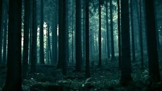 Natural beautiful video