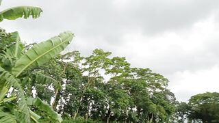 natural view 4