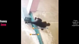 Funny video ???????? 39
