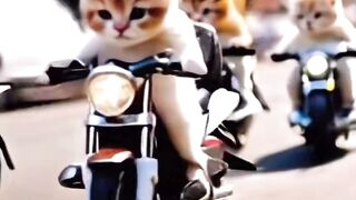 Funny cats video by ai