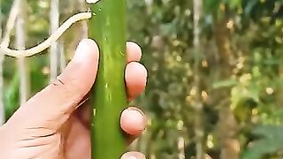 এটা শুধু বুদ্ধিমান মানুষ ই পারবে