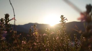 Beautiful sunrise 4