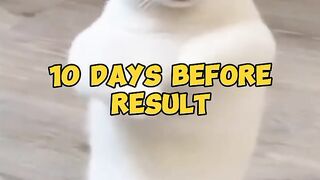 days before results